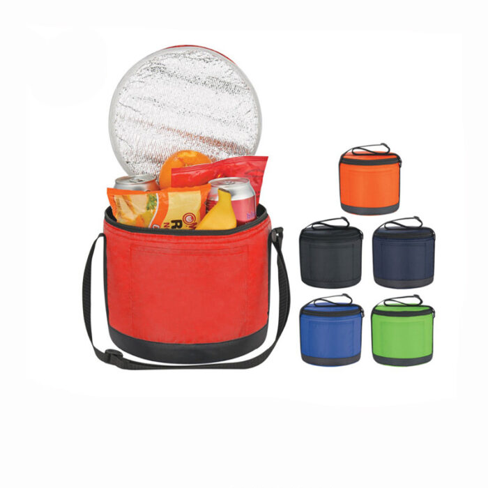 4 - picnic cooler bag.jpg